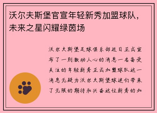 沃尔夫斯堡官宣年轻新秀加盟球队，未来之星闪耀绿茵场